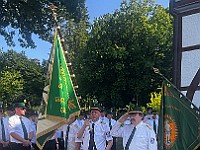 IMG 7132